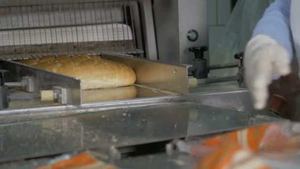 Verpakkingslijn voor lange broden in een bakkerij. — Stockvideo