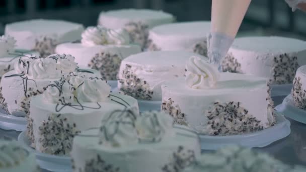 Dekorowanie ciasta przez bitą śmietaną za pośrednictwem wtryskiwaczy krem. — Wideo stockowe