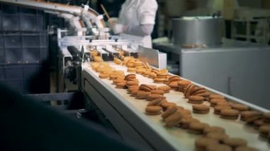 Bisküvi iki düzensiz satırları bir fabrika tesis Konveyör bant boyunca hareket ediyor