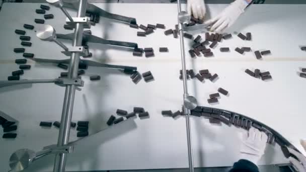 Top view of chocolate candies moving along the conveyor belt into three different directions — Stock Video