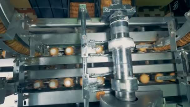 Dynamic footage of biscuits making process by a factory machine — Stock Video