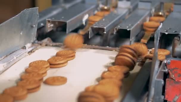 Os cookies estão caindo de dutos mecânicos na correia transportadora — Vídeo de Stock