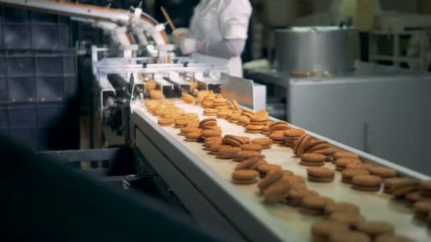 Two uneven rows of biscuits are moving along the conveyor belt in a factory facility — Stock Video