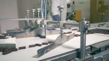 Çikolata şekerleme konveyör hareket ediyor ve işçiler tarafından sonra sıralanır