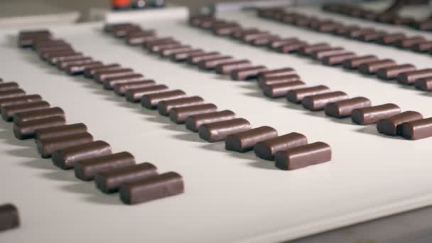 Рядки шоколадних цукерок рухаються вздовж заводського конвеєра — стокове відео