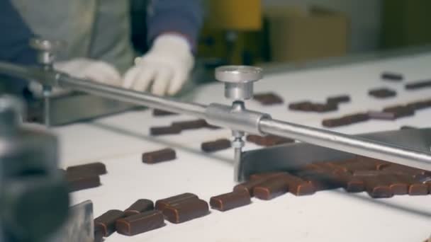 Primer plano de los trabajadores de la fábrica que clasifican caramelos de chocolate con sus manos — Vídeo de stock