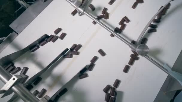 Rows of chocolate candies are moving along the conveyor belt and being sorted by a factory worker — Stock Video