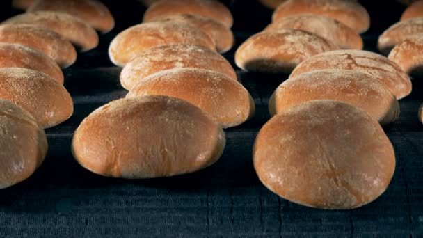 Heiß gebackene Brote nach dem Sprühen auf dem Band in der Backstube. — Stockvideo