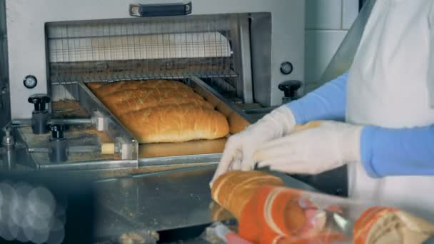 Trabajador pone pan rebanado en un paquete de celofán . — Vídeos de Stock