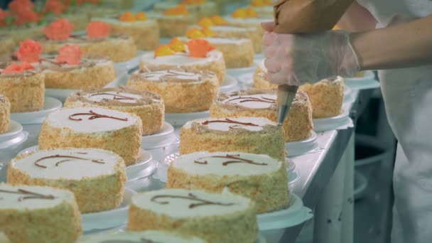 Confectioner decorates cakes using cream injector. — Stock Video