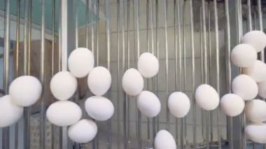 Yumurta için endüstriyel tesis seçimi. Üstten Görünüm.