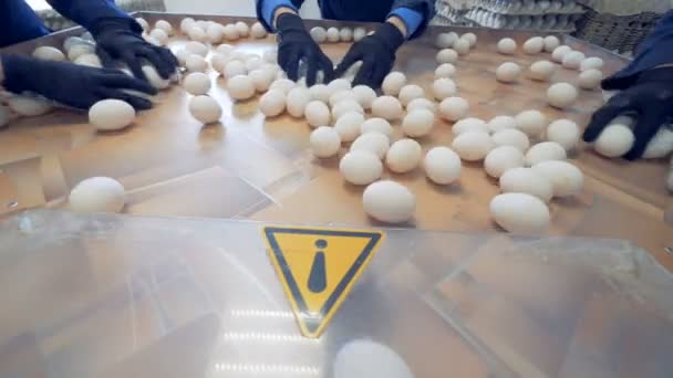 Waarschuwingsbord in fabriek. Let op teken bij eieren sorteren transportband. — Stockvideo