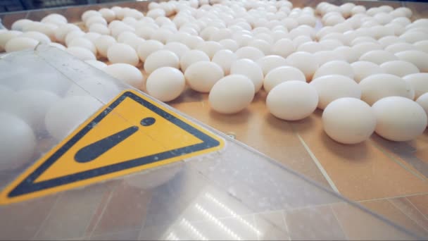 Waarschuwing, waarschuwing teken bij de fabriek. Let op teken bij eieren sorteren transportband. — Stockvideo