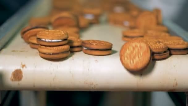 Fechar de uma correia transportadora de fábrica que está movendo cookies para longe — Vídeo de Stock