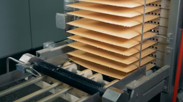 Waffles layers are getting moved into a column by the conveyor belt — Stock Video