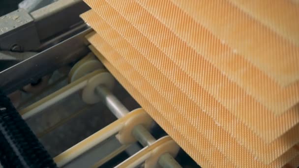 Close up van wafels lagen wordt opgeheven door een fabriek mechanisme — Stockvideo