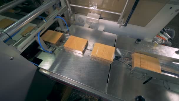 Waffles blocks are being wrapped up and getting separated by a cutter — Stock Video