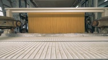 Spagetti üretim hattı. Gıda fabrika kavramı.