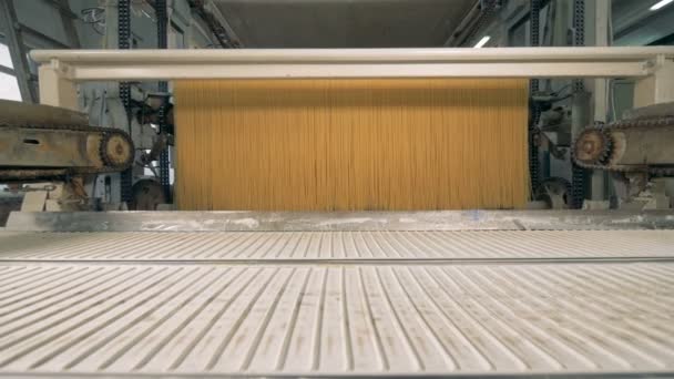 Ligne de production de spaghettis. Concept d'usine alimentaire . — Video