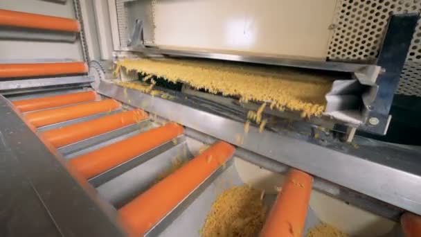 Macaroni vallen van een metalen plank in een bewegende transportband. — Stockvideo