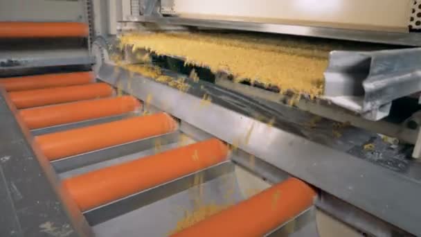 Bewegende transportband met spiraal macaroni. Pasta, macaroni, noedels, spaghetti productielijn. — Stockvideo