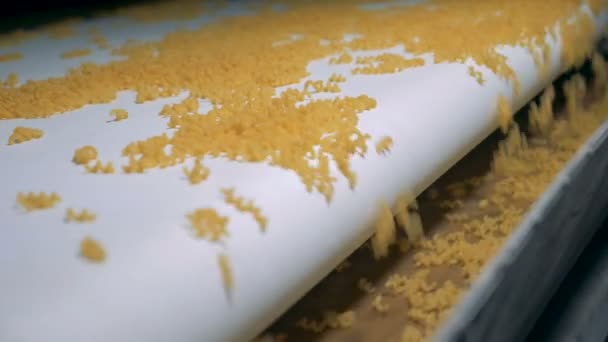 Pâtes, macaronis, nouilles, spaghettis ligne de production. La bande transporteuse blanche entraîne beaucoup de macaronis en spirale jusqu'à la suivante — Video