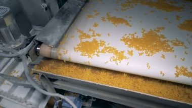 Makarna, makarna, erişte, makarna üretim hattı. Makarna enine taşıyıcı bantlar ve sonra porsiyonlar halinde kaldırdı boyunca hareket ediyor.