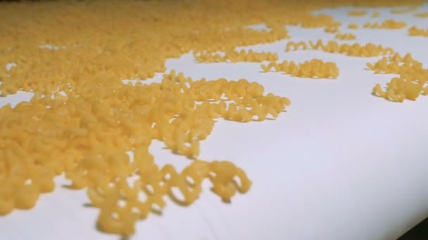 Une pile de morceaux de macaronis jaunes en spirale descendant la bande transporteuse. Pâtes, macaronis, nouilles, spaghettis ligne de production . — Video