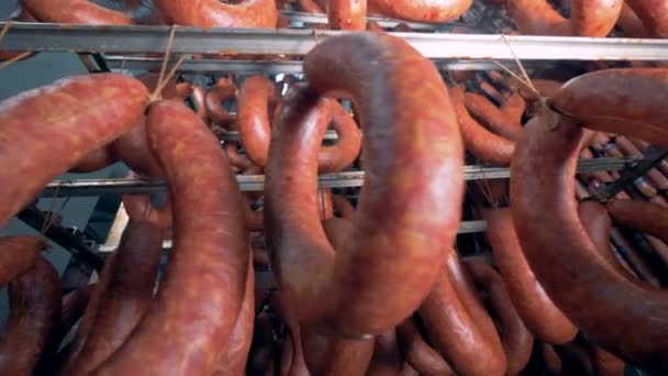 Packs of smoked sausage are hanging on metal stands, bottom view, close up. — Stock Video