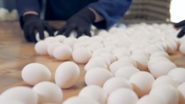 Taze yumurta fabrika sıralamayı yumurta ambalaj işçi.