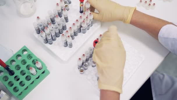 Test tubes are getting pulled out from one palette and inserted into another one by a laboratory worker — Stock Video