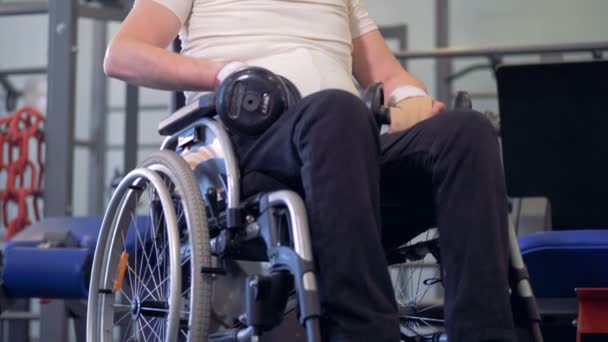 A disabled man is sitting in a wheelchair with dumb-bells, moving his shoulders and talking — Wideo stockowe