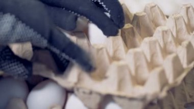 Yeni katman yumurta raf üzerine bir tane koyun ve yakın bir yumurta ile dolu