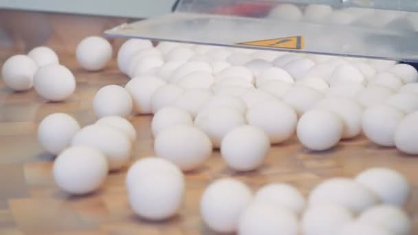 Os ovos estão sendo movidos ao longo da superfície da mesa e sendo postos de lado — Vídeo de Stock