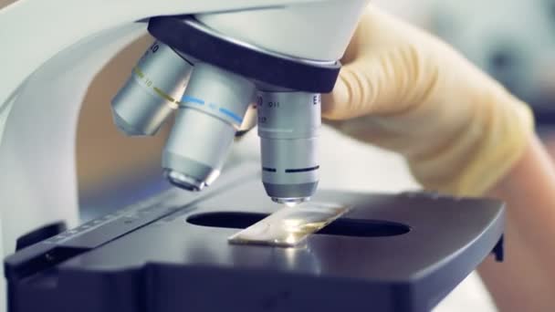 Close up of microscopes oculars being directed at a sample on a piece of glass — Stock Video