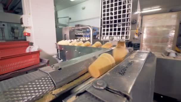 Des gobelets remplis de crème glacée sont poussés le long du convoyeur dans une usine. — Video