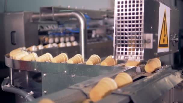 Processo de movimento de copos de sorvete acabados ao longo da correia transportadora — Vídeo de Stock