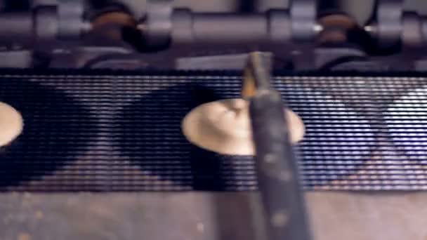 Círculos idénticos de crema se están vertiendo en una cinta transportadora — Vídeos de Stock