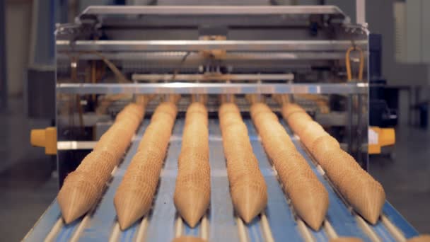 Seis fileiras de cones de waffle inseridos um no outro estão se movendo lentamente ao longo da correia transportadora — Vídeo de Stock