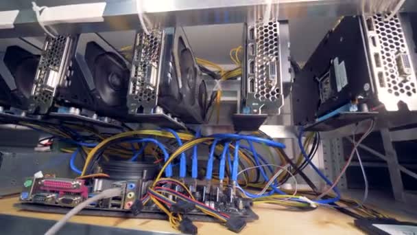 Row of bitcoin miners. Mining farm with lots of videocards. — Stock Video