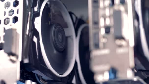 Beaucoup de cartes graphiques pour l'exploitation minière Bitcoin dans le processus de criptocurrency .