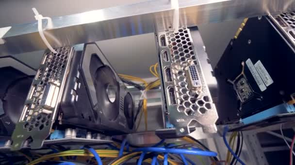 Viele Grafikkarten für Bitcoin-Mining im Criptocurrency-Prozess. — Stockvideo