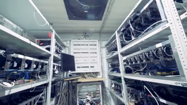 Speicher mit GPU-Grafikkarten-Mining. industrieller Bergbaubetrieb für Bitcoin und Kryptowährungsgeld. — Stockvideo