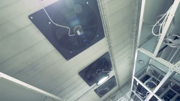 Kühlsystem mit vielen industriellen Ventilatoren in einer Kryptowährungsbergbau-Fabrik. — Stockvideo