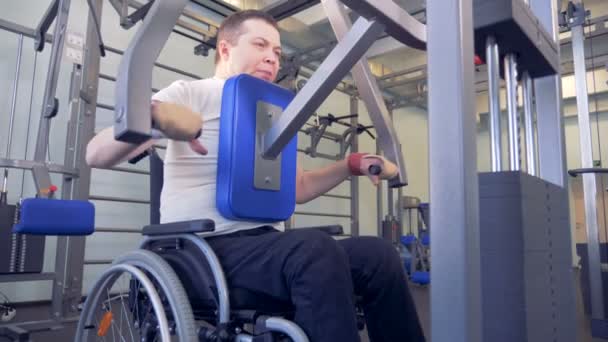 El hombre discapacitado hace ejercicios de fuerza para volver al aparato de entrenamiento . — Vídeos de Stock