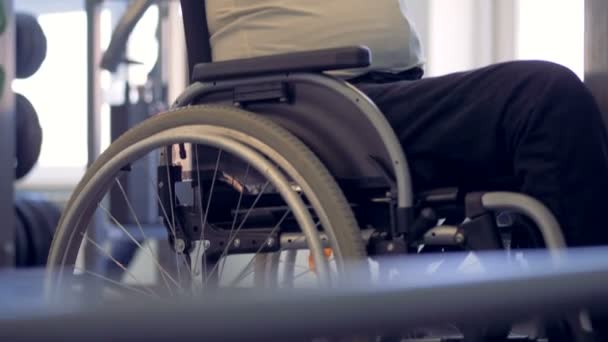 Atleta discapacitado en silla de ruedas preparándose para entrenar en el gimnasio . — Vídeos de Stock