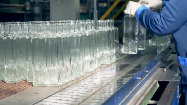 Factory anställd är att sätta glasartade flaskor på transportbandet — Stockvideo