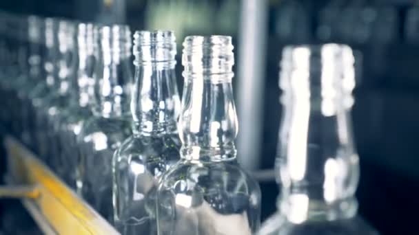 По конвейеру движется ряд одинаковых стекловидных бутылок в форме шеи — стоковое видео
