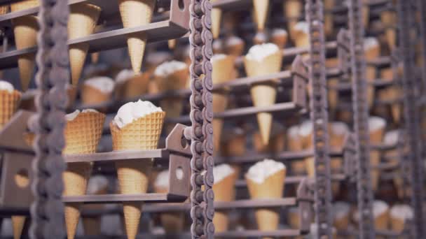 Vergrote weergave op klaar ice - cream cones in de koeling kamer. 4k. — Stockvideo