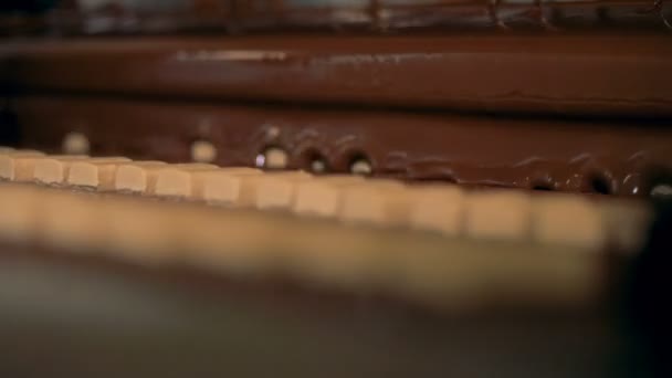 Caramelos, turrón se vierten con chocolate en el transportador de producción de caramelos . — Vídeos de Stock